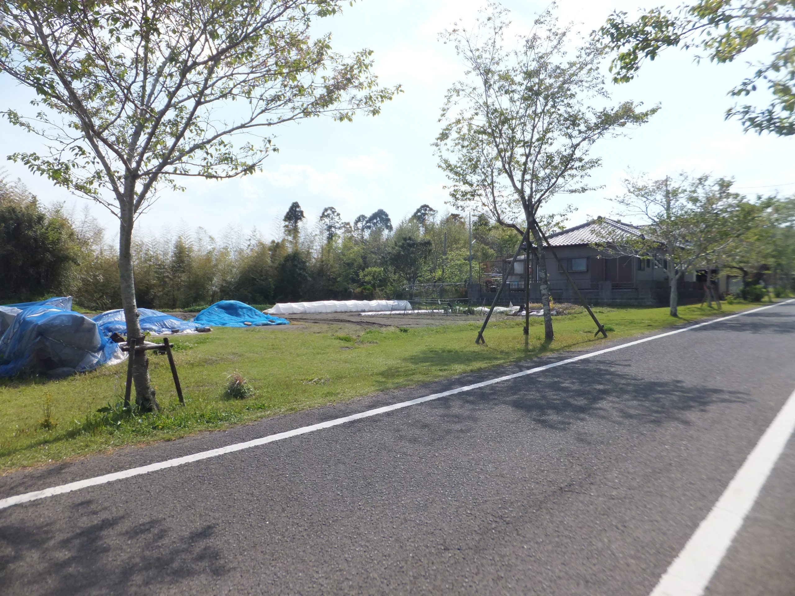 売土地 横市町317.93坪 480万 建築条件ナシ