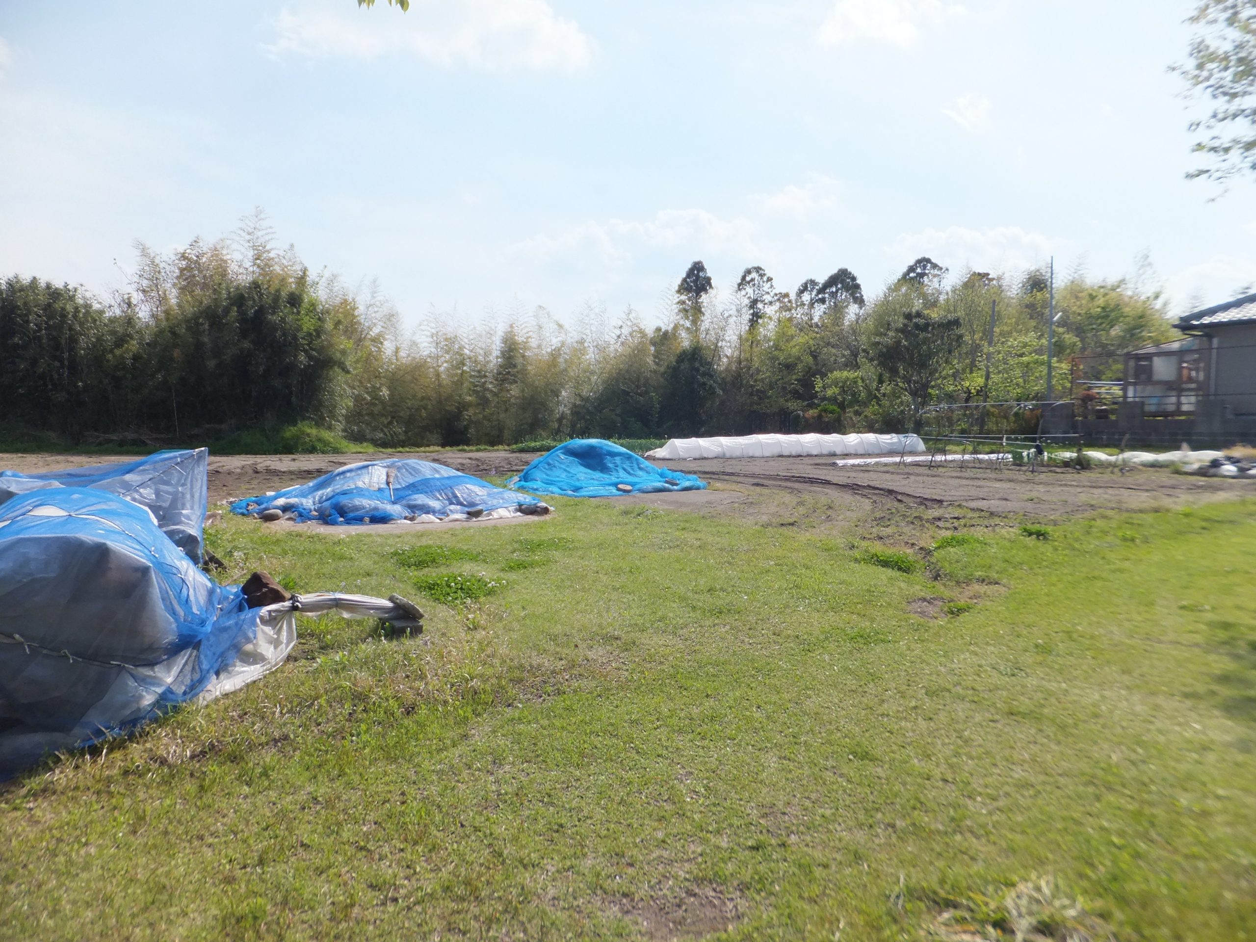 売土地 横市町317.93坪 480万 建築条件ナシ