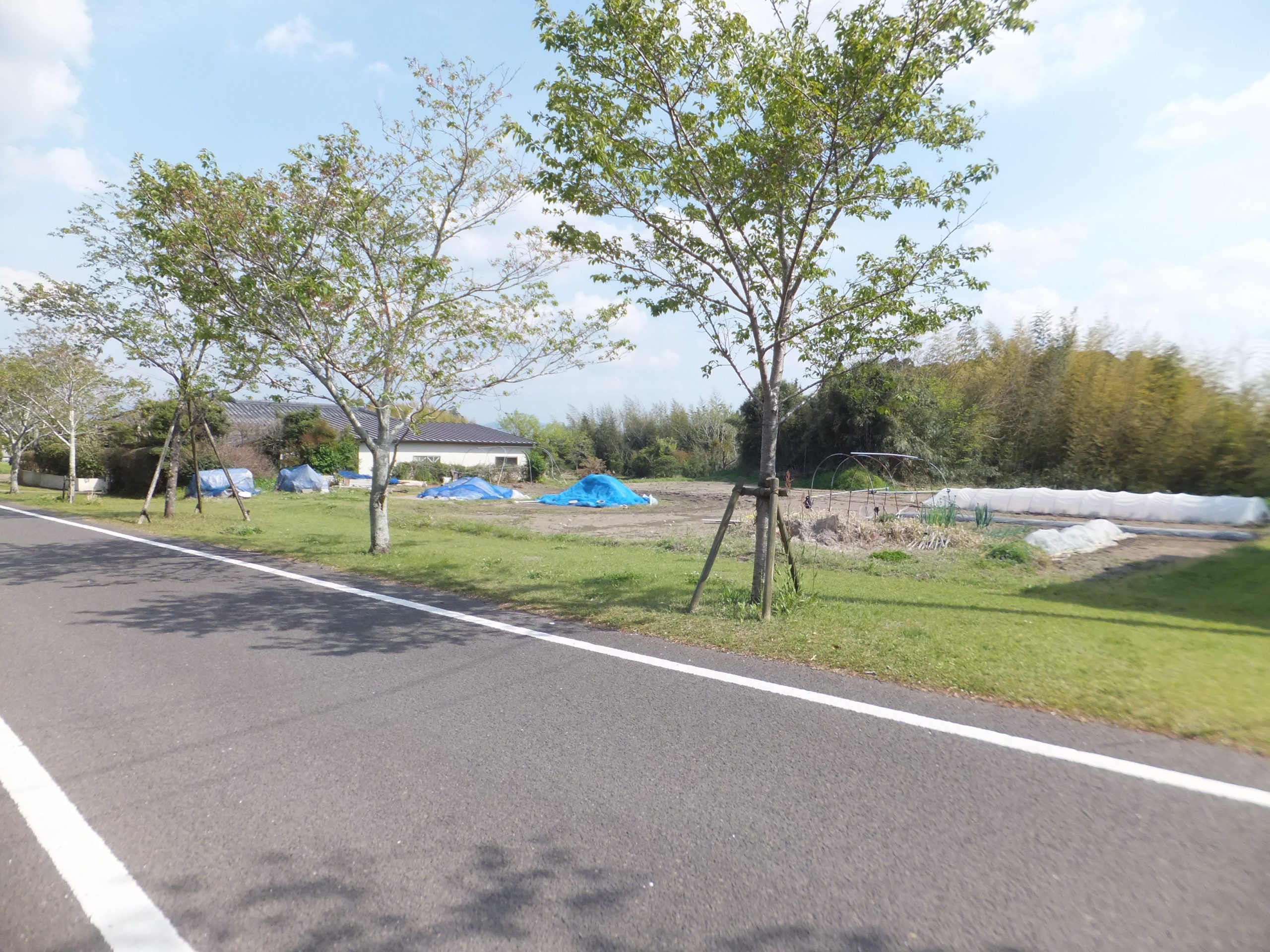 売土地 横市町317.93坪 480万 建築条件ナシ