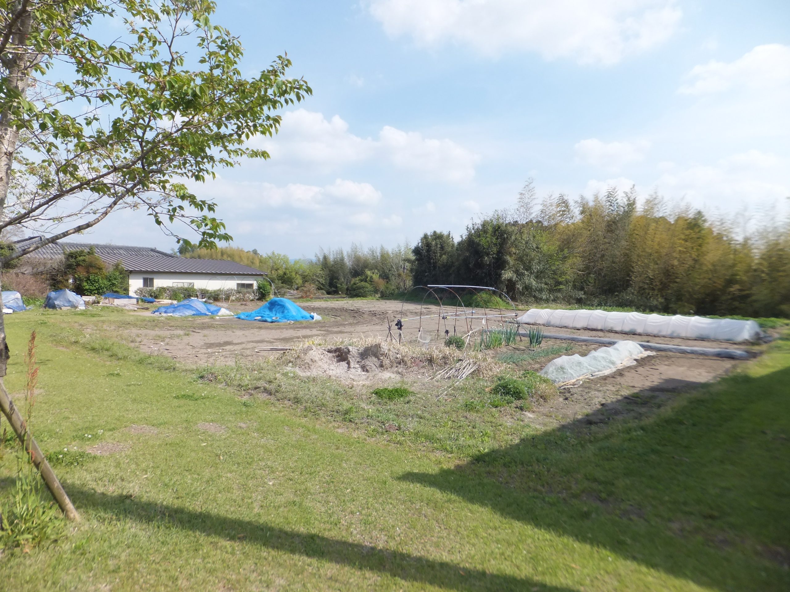 売土地 横市町317.93坪 480万 建築条件ナシ