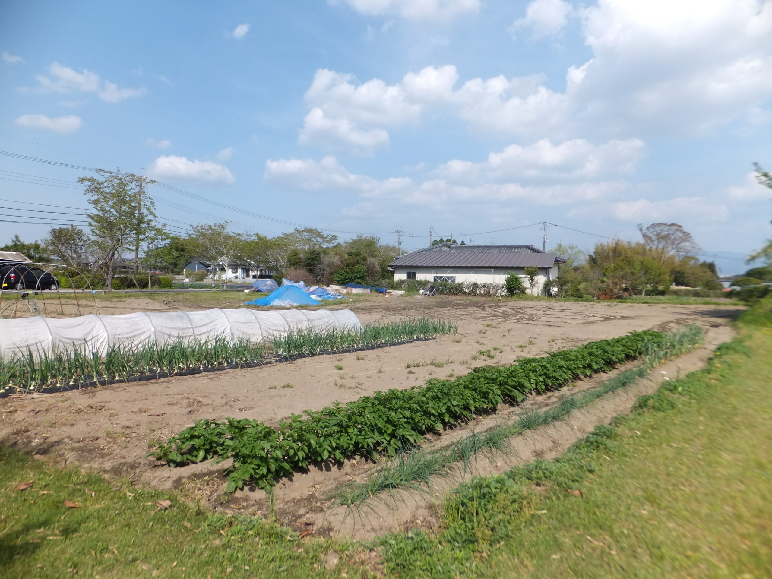 売土地 横市町317.93坪 480万 建築条件ナシ