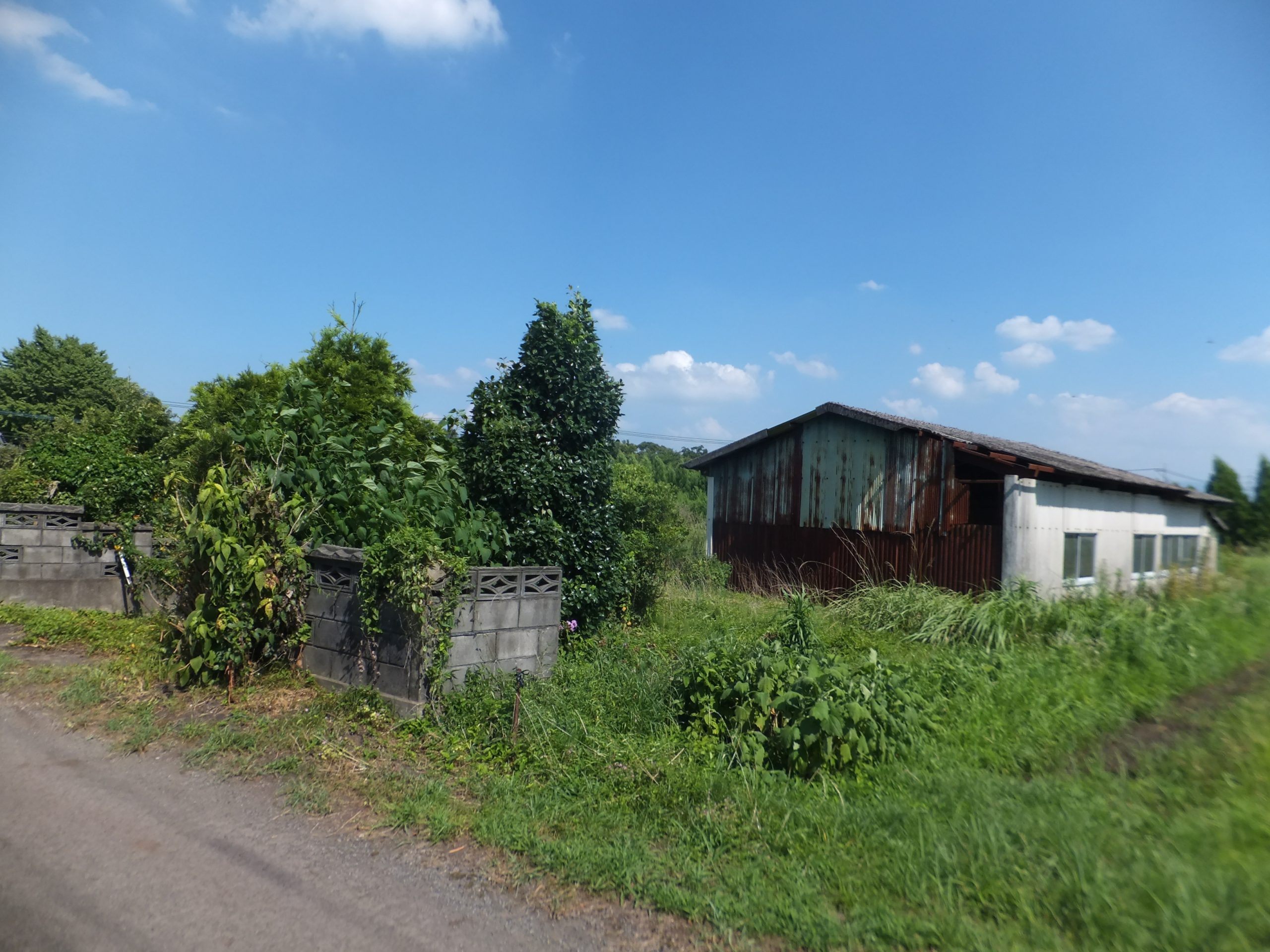 売土地 都城市丸谷町 322.74坪 130万 *建築条件ナシ 現状渡し