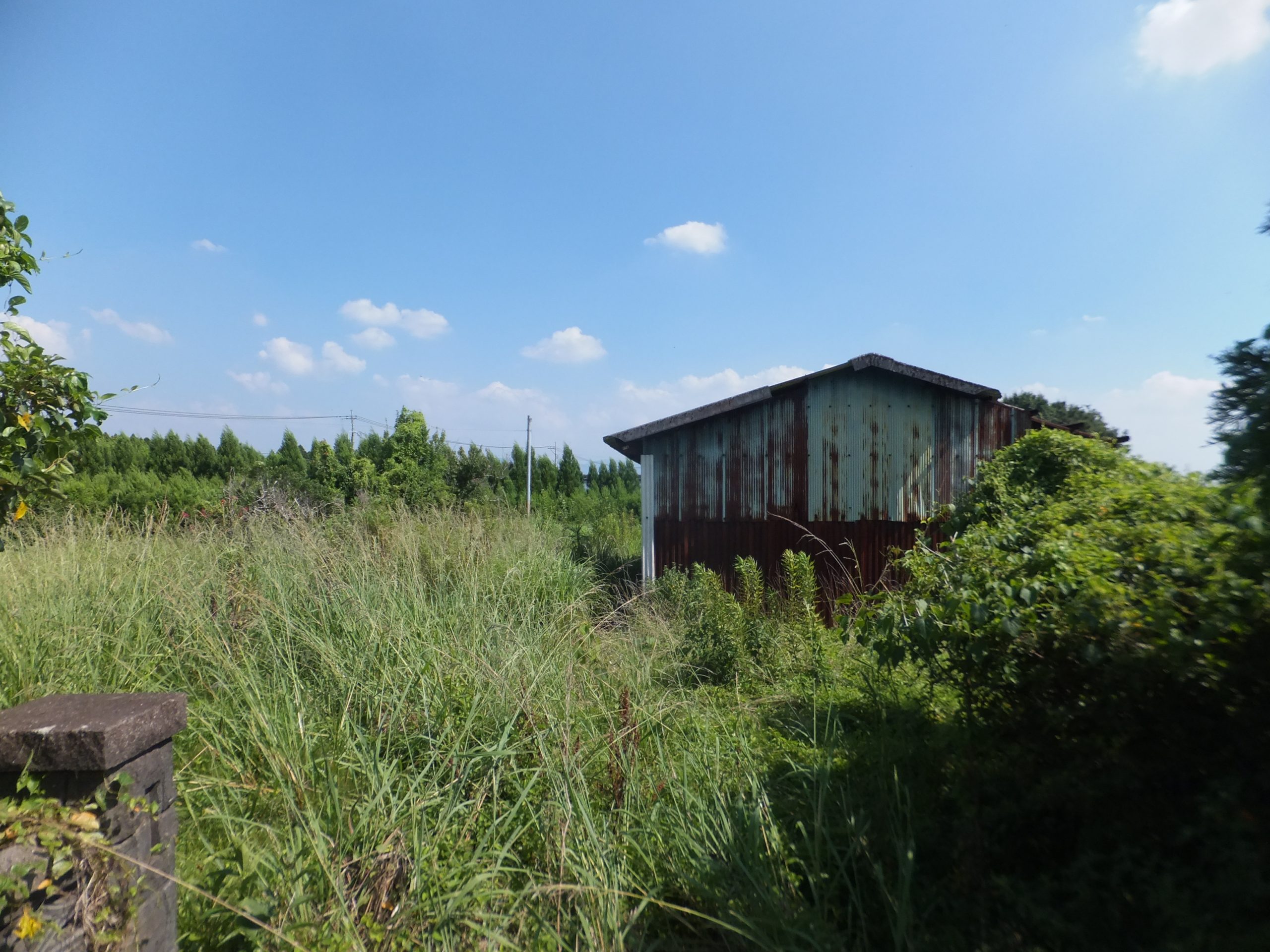 売土地 都城市丸谷町 322.74坪 130万 *建築条件ナシ 現状渡し