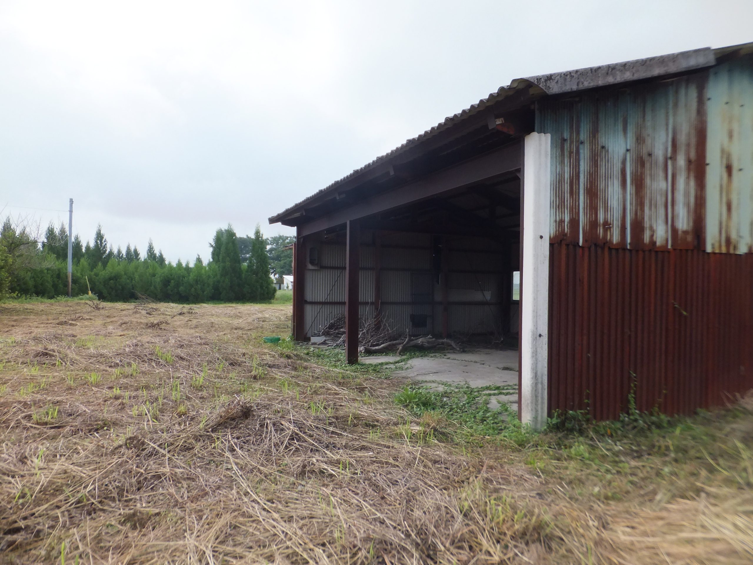 【都城市丸谷町】広々322坪!のんびり暮らす建築条件なし 売土地
