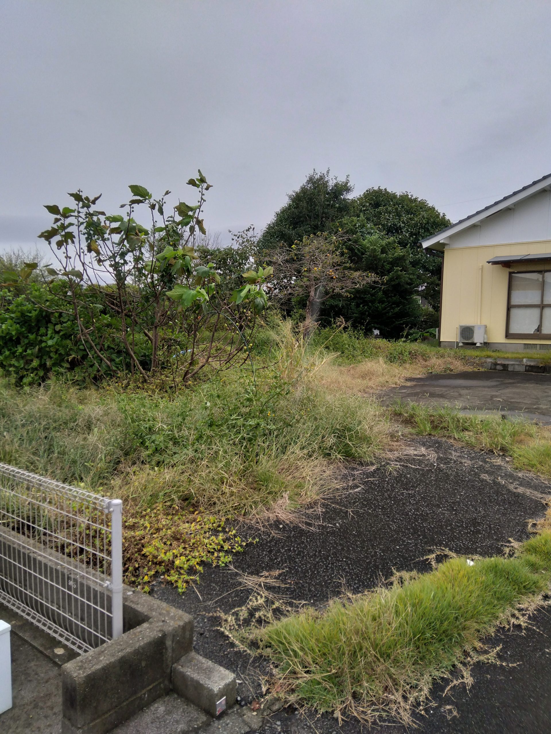 【中古戸建】広々142坪の土地と平屋の住まい 児湯郡川南町