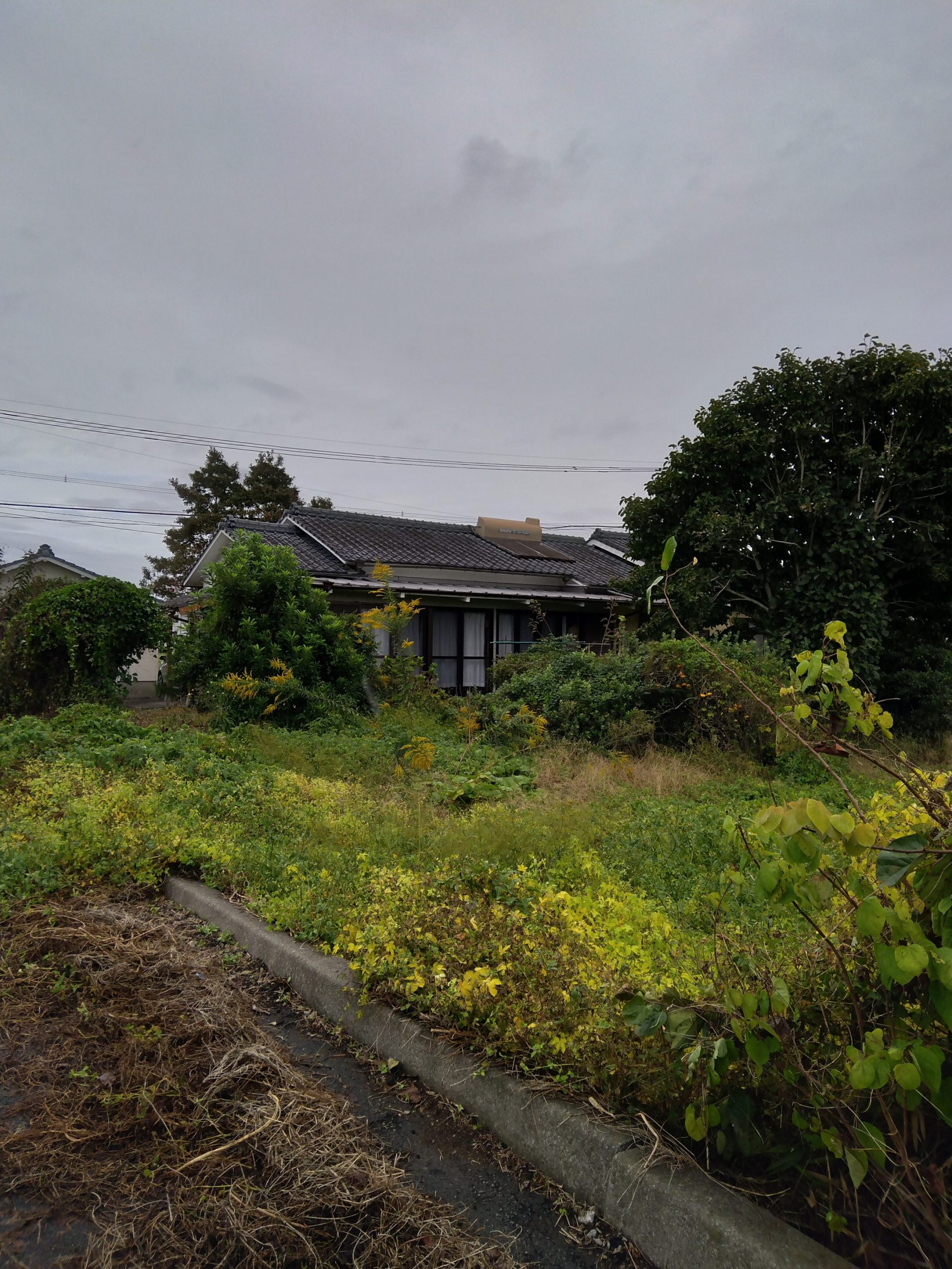 【中古戸建】広々142坪の土地と平屋の住まい 児湯郡川南町