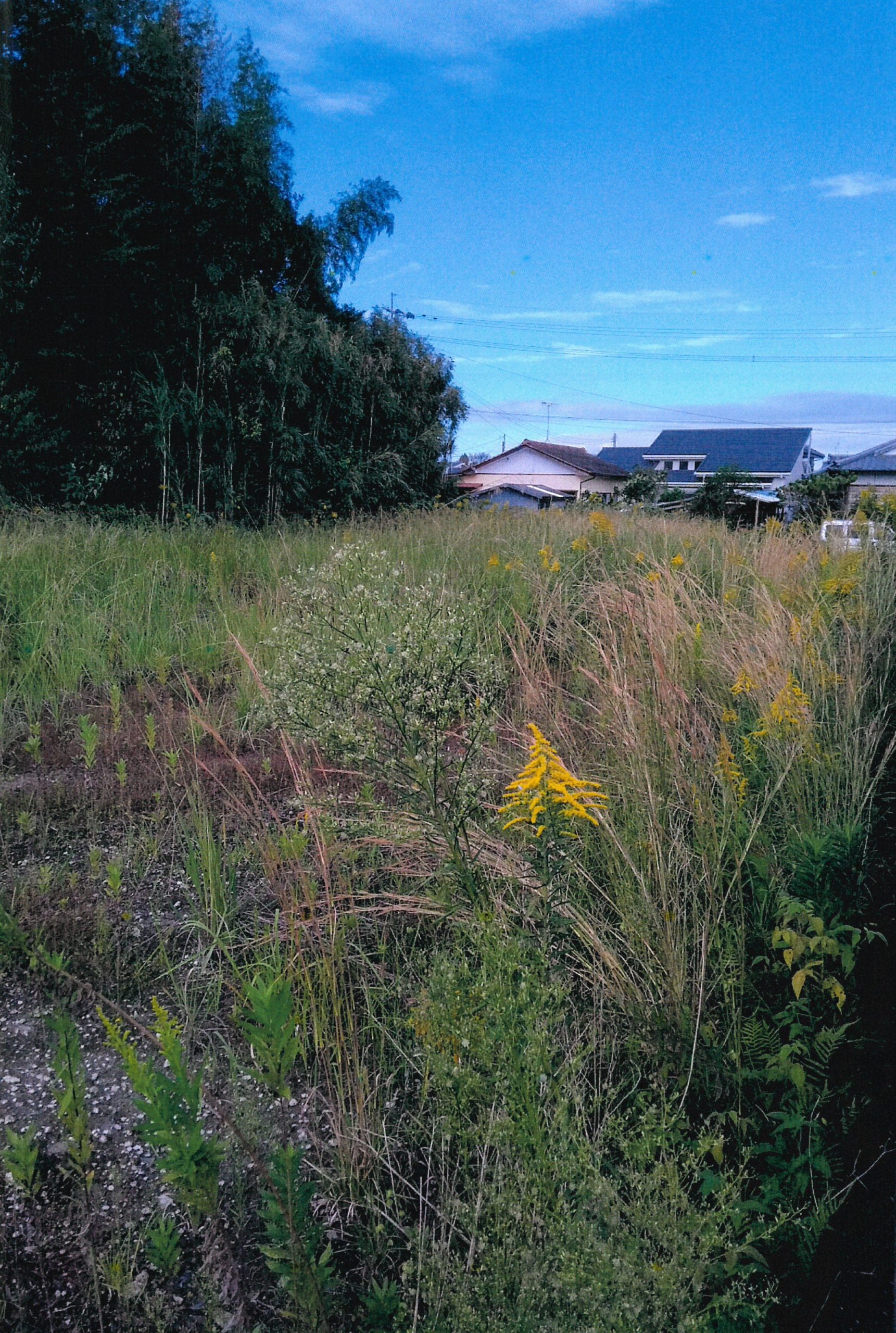曽於市末吉町の売土地｜206坪・南東向き・末吉小中学校区・建築自由