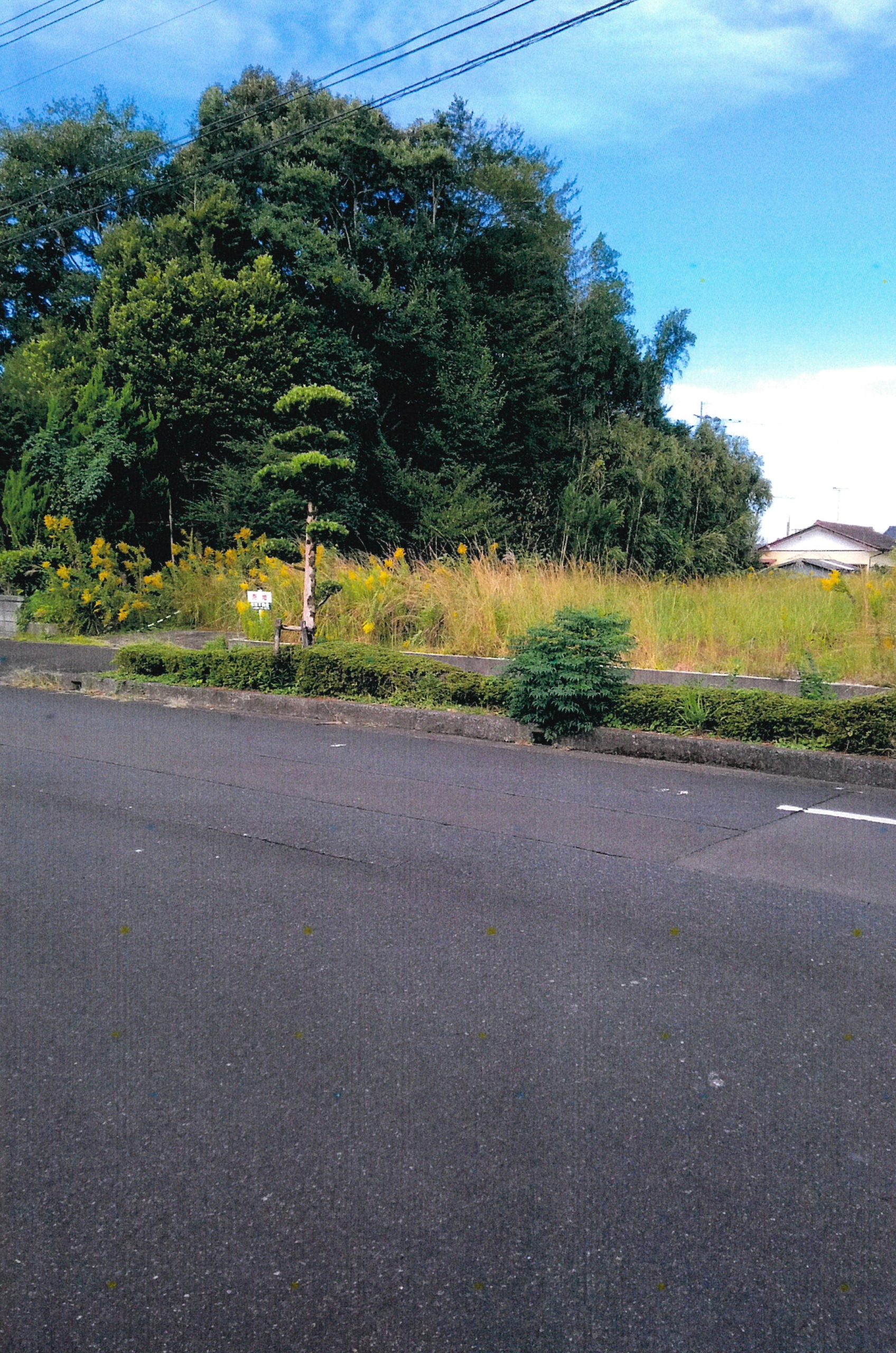 曽於市末吉町の売土地｜206坪・南東向き・末吉小中学校区・建築自由