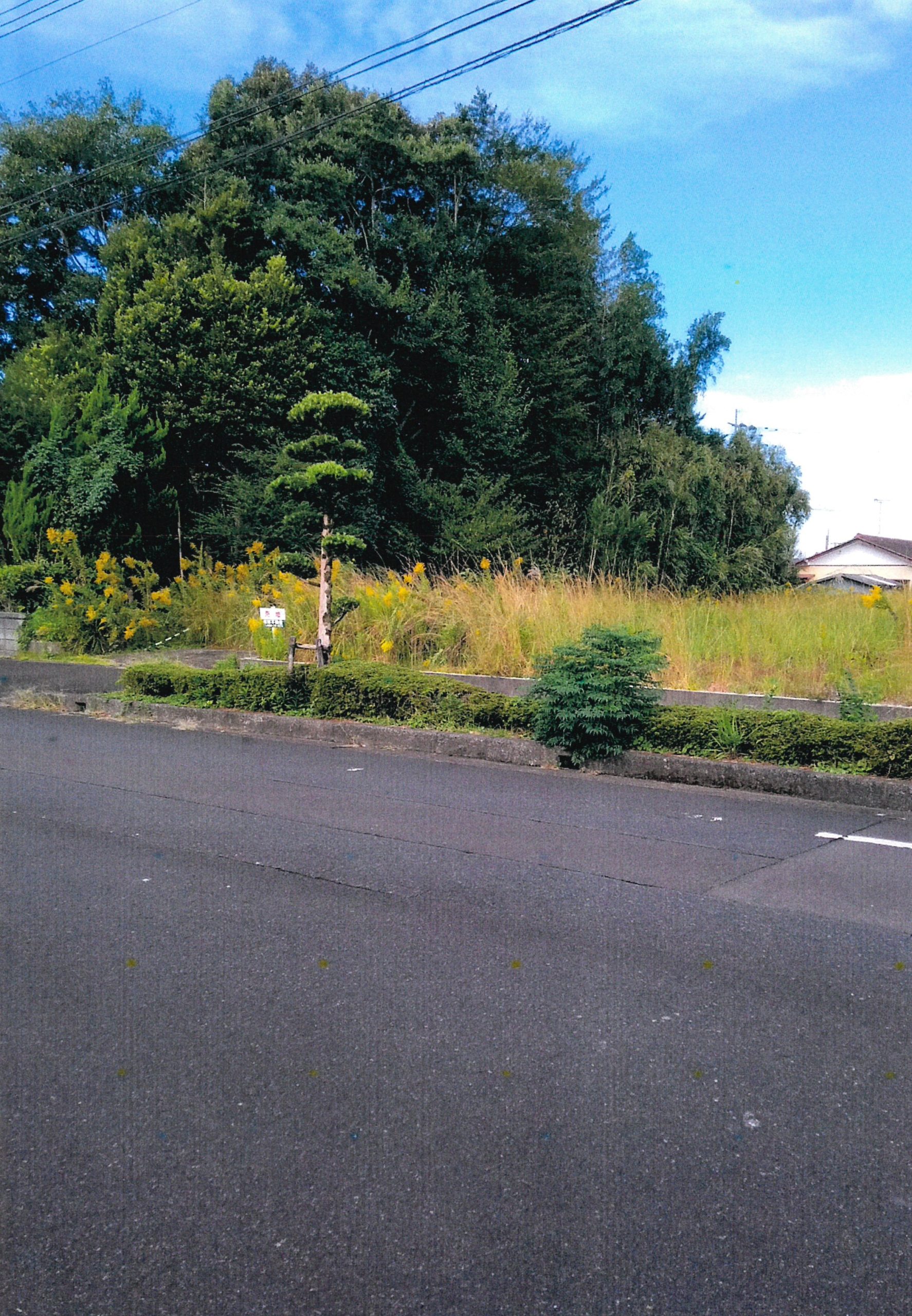 曽於市末吉町の売土地｜206坪・南東向き・末吉小中学校区・建築自由